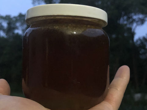 天然丛林蜂蜜