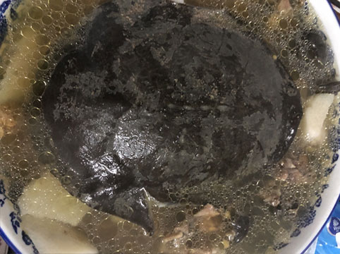 农场甲鱼滋养汤