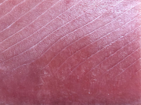 金枪鱼刺身