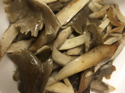 油煎鸡纵菌