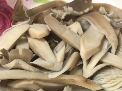 煮鸡纵菌